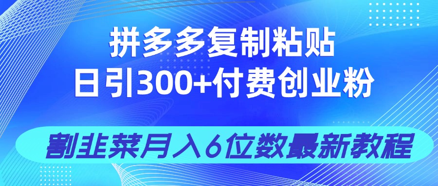 拼多多复制粘贴日引300+付费创业粉，割韭菜月入6位数最新教程！-小鹏项目网