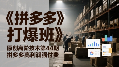 《拼多多打爆班》原创高阶技术第44期，拼多多高利润强付费-小鹏项目网