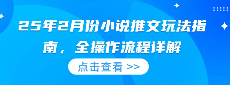 25年2月份小说推文玩法指南，全操作流程详解-小鹏项目网