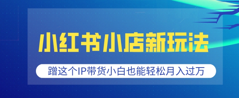 小红书小店新玩法，蹭这个IP带货，小白也能轻松月入过W【揭秘】-小鹏项目网