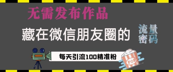 藏在微信朋友圈的流量密码，无需发布作品，单日引流100+精准创业粉【揭秘】-小鹏项目网