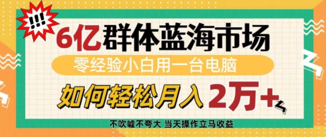 6亿群体蓝海市场，零经验小白用一台电脑，如何轻松月入过w【揭秘】-小鹏项目网
