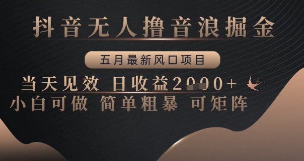 抖音无人撸音浪掘金，五月最新风口项目，当天见效，日收益多张，小白可做简单粗暴可矩阵【揭秘】-小鹏项目网