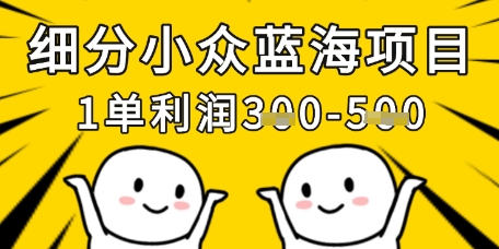 细分小众蓝海项目，一单利润3张，每月收入稳定过1w+-小鹏项目网