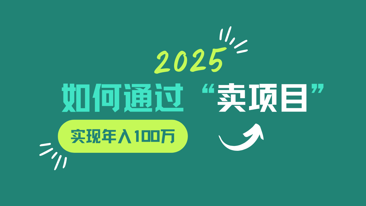 2025年如何通过“卖项目”实现年入100w-小鹏项目网