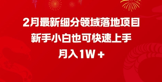 2月最新细分领域落地项目，新手小白也可快速上手，月入1W-小鹏项目网
