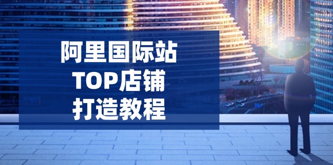 阿里国际站TOP店铺打造教程：涵盖平台到高阶，解决运营难题，提升询盘-小鹏项目网
