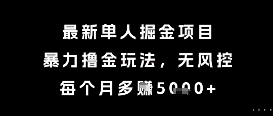 最新单人掘金项目，暴力撸金玩法，无风控，每个月多挣5k+【揭秘】-小鹏项目网
