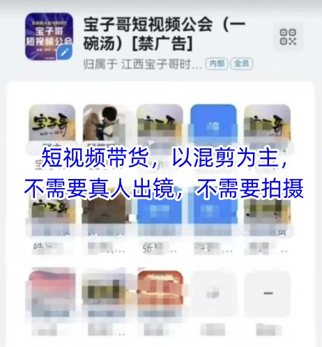宝子哥头部团队短视频带货，以混剪为主，不需要真人出镜，不需要拍摄-小鹏项目网