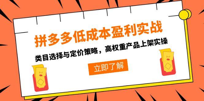 拼多多低成本盈利实战，类目选择与定价策略，高权重产品上架实操-小鹏项目网