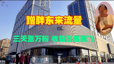 蹭胖东来流量，三天涨万粉，收益直接起飞-小鹏项目网