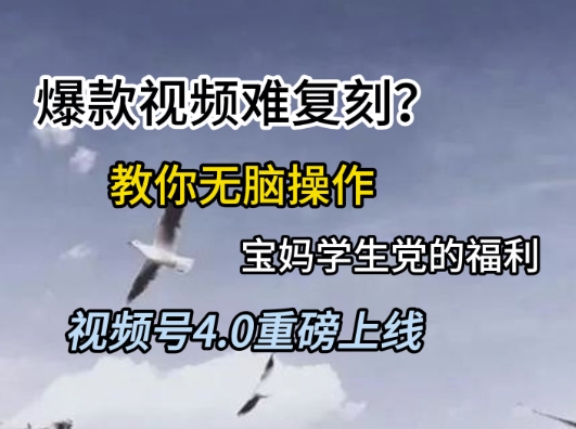 视频号4.0重磅上线，爆款视频难复刻？教你无脑操作宝妈学生党的福利【揭秘】-小鹏项目网