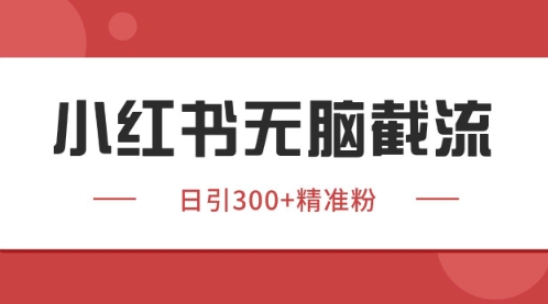 小红书只要你有同行就能获客，独家野路子获客玩法，暴力截流【揭秘】-小鹏项目网