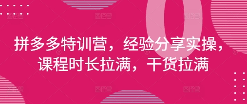 拼多多特训营，经验分享实操，课程时长拉满，干货拉满(更新25年4月)-小鹏项目网