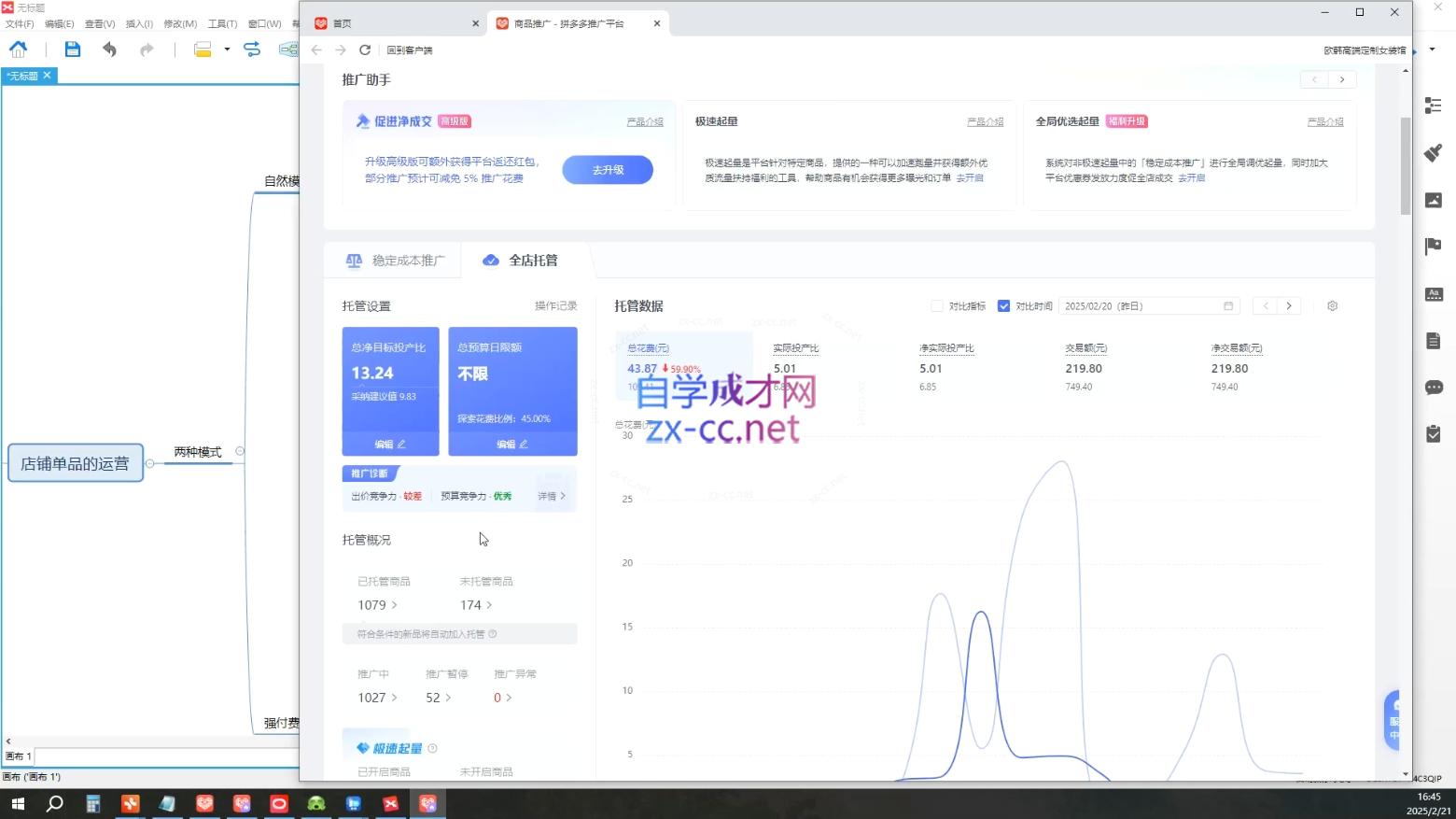 齐论拼多多vip课程-小鹏项目网