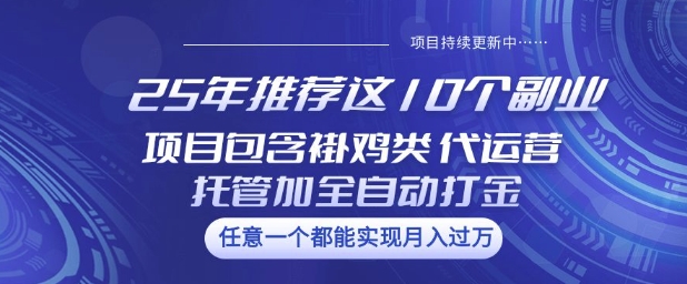 25年推荐这10个副业项目包含褂鸡类、代运营托管类、全自动打金类【揭秘】-小鹏项目网