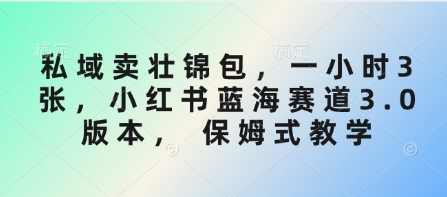 私域卖壮锦包，一小时3张，小红书蓝海赛道3.0版本， 保姆式教学-小鹏项目网