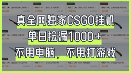 真全网独家CSGO挂G，单日捡漏1k+【揭秘】-小鹏项目网
