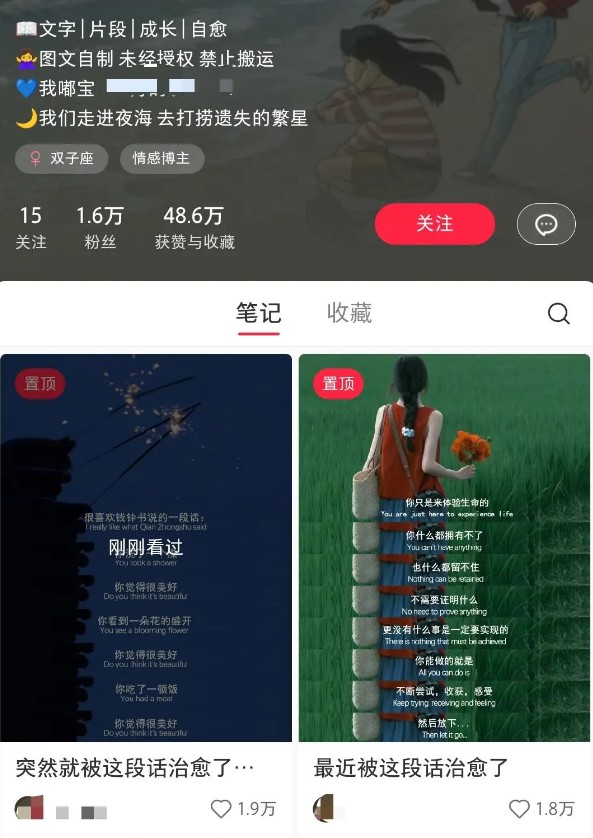 小红书治愈文案图文笔记，零门槛，一分钟制作轻松制作爆款作品月入万元-小鹏项目网