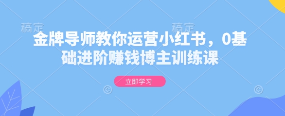 金牌导师教你运营小红书，0基础进阶赚钱博主训练课-小鹏项目网