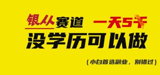 靠银从证书，日入多张，会截图就能做，直接抄答案(附：银从合集)-小鹏项目网