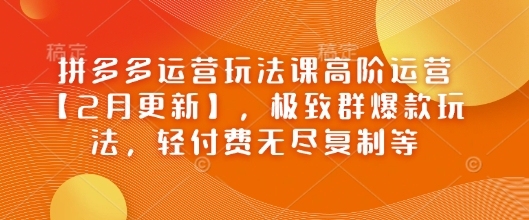 拼多多运营玩法课高阶运营【2月更新】，极致群爆款玩法，轻付费无尽复制等-小鹏项目网