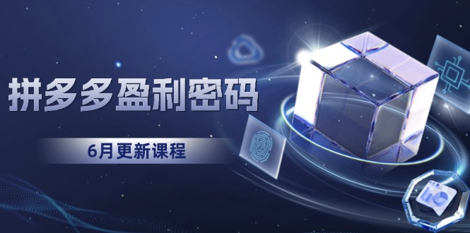 拼多多盈利密码：从烧钱推广到印钞模型，底层逻辑重构指南(6月更新-小鹏项目网