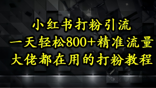 小红书打粉引流，一天轻松500+精准流量，大佬都在用的打粉教程-小鹏项目网