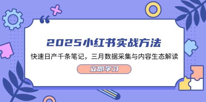 2025小红书实战方法，快速日产千条笔记，三月数据采集与内容生态解读-小鹏项目网