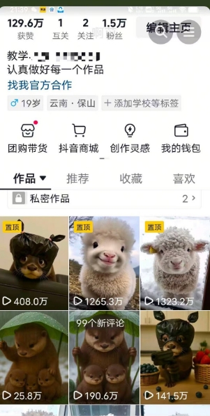 抖音65W博主AI萌宠课程，新赛道流量大，原创+二创，全套课程+提示词-小鹏项目网