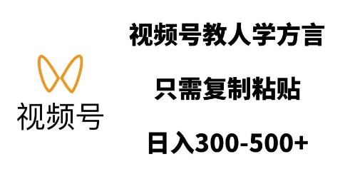 视频号教人学方言，只需复制粘贴，日入多张-小鹏项目网