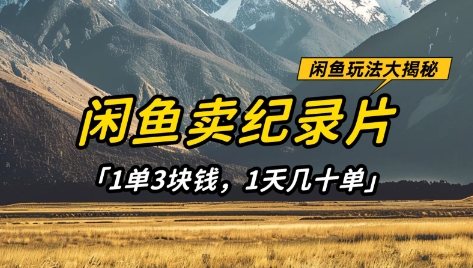 闲鱼卖纪录片1单3块钱，1天几十单，项目稳定有潜力-小鹏项目网