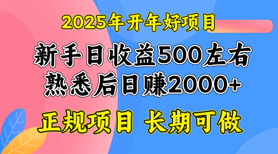 2025开年好项目，单号日收益2000左右-小鹏项目网