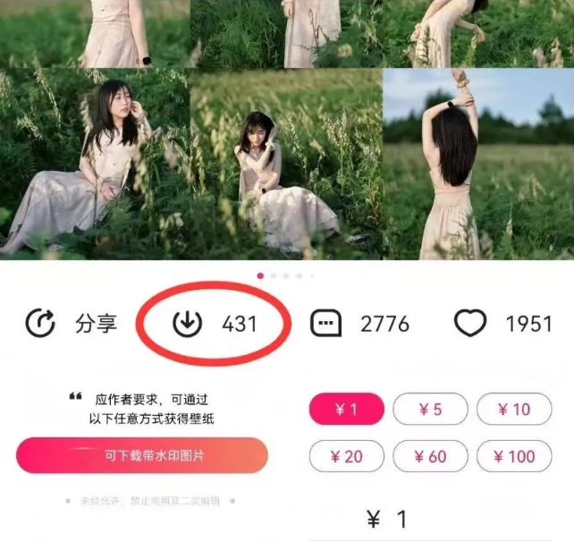 最新图虫搬运项目，收益无上限，利用AI小白也可日赚500+-小鹏项目网
