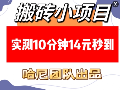 搬砖小项目，实测10分钟14元秒到，每天稳定几张(赠送必看稳定)-小鹏项目网