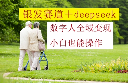 银发赛道+deepseek数字人全域变现，小白也能操作-小鹏项目网