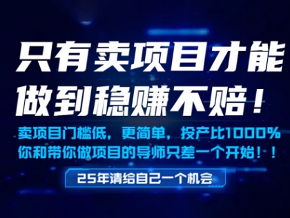 只有卖项目才能做到稳挣不赔，门槛低，更简单，你也可以年入百个W【揭秘】-小鹏项目网
