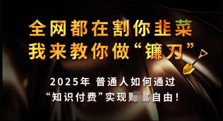 知识付费如何做到月入过W+，2025我来教你做“镰刀”【揭秘】-小鹏项目网