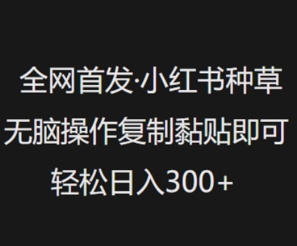 全网首发，小红书种草无脑操作，复制黏贴即可，轻松日入3张-小鹏项目网