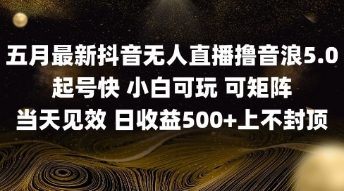 2025五月最新无人直播撸音浪单日产出5张+实操教程【揭秘】-小鹏项目网