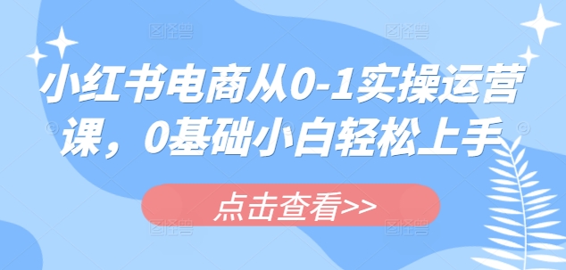 小红书电商从0-1实操运营课，0基础小白轻松上手-小鹏项目网