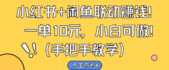 小红书+闲鱼联动挣钱，一单10元，小白可做-小鹏项目网