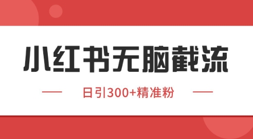 小红书截流同行客源，独家野路子获客玩法 日引200+暴力获客【揭秘】-小鹏项目网