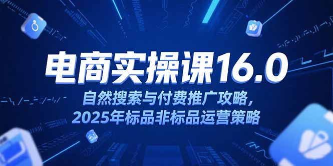 淘宝电商运营课16.0，自然搜索与付费推广攻略，2025年标品非标品运营策略-小鹏项目网