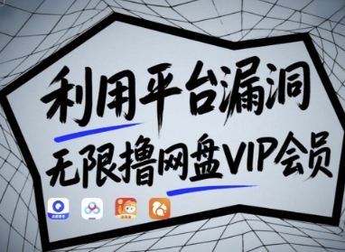 利用平台漏洞，无限撸网盘VIP会员，用户亲测有效!【漏洞原理+操作演示】-小鹏项目网