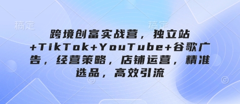 跨境创富实战营，独立站+TikTok+YouTube+谷歌广告，经营策略，店铺运营，精准选品，高效引流-小鹏项目网