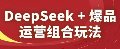 DeepSeek+爆品运营组合玩法，2025淘系精品课-小鹏项目网