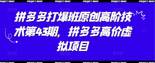 拼多多打爆班原创高阶技术第43期，拼多多高价虚拟项目-小鹏项目网