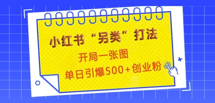 小红书“另类”打法，开局一张图，单日引爆500+精准创业粉【揭秘】-小鹏项目网