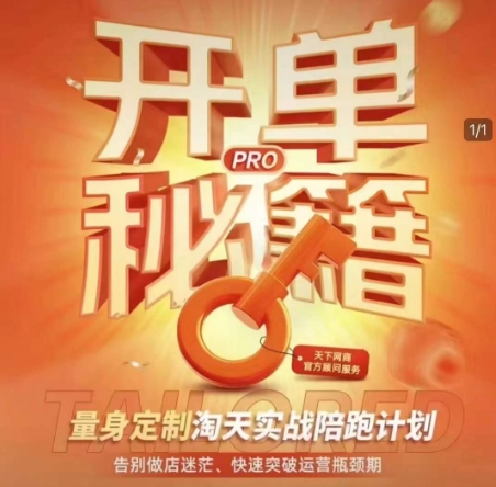 淘宝开单秘籍PRO，量身定制淘天实战陪跑计划，告别做店迷茫、快速突破运营瓶颈期(更新)-小鹏项目网